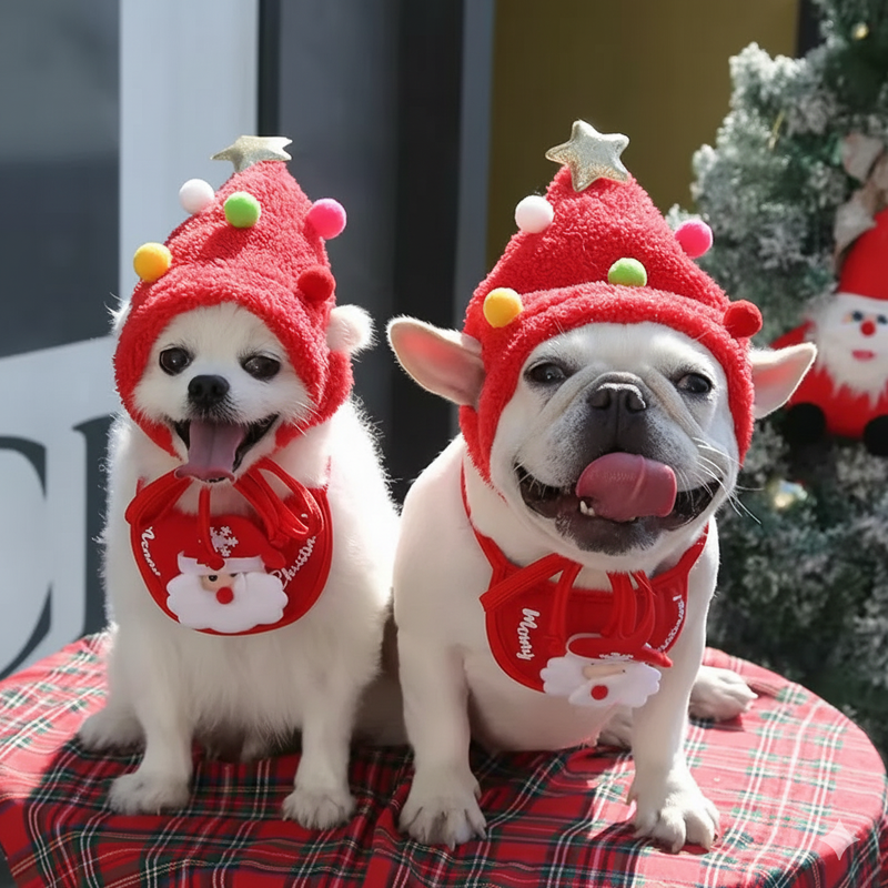 Bandana + Gorro de Natal Para Cachorro: Conjunto Festivo Premium